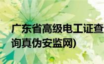 广东省高级电工证查询方法(广东省电工证查询真伪安监网)