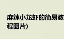 麻辣小龙虾的简易教程(麻辣小龙虾的简易教程图片)