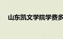 山东凯文学院学费多少（山东凯文学院）