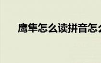鹰隼怎么读拼音怎么写（鹰隼怎么读）