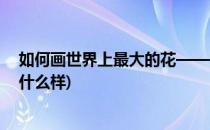 如何画世界上最大的花——大王花(世界上最大的大王花长什么样)