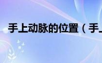 手上动脉的位置（手上动脉在哪里要具体）