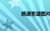 感通索道图片（感通索道）