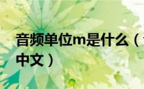 音频单位m是什么（音频meters是什么意思中文）