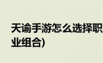 天谕手游怎么选择职业(天谕手游怎么选择职业组合)