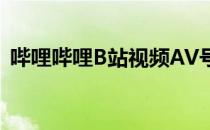 哔哩哔哩B站视频AV号是什么av号有什么用