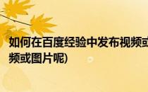 如何在百度经验中发布视频或图片(如何在百度经验中发布视频或图片呢)