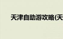 天津自助游攻略(天津自助游攻略路线)