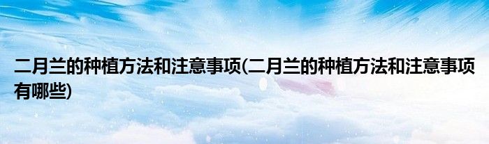二月兰的种植方法和注意事项(二月兰的种植方法和注意事项有哪些)