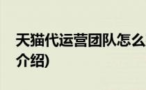 天猫代运营团队怎么建设(入驻天猫运营团队介绍)