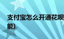 支付宝怎么开通花呗(支付宝怎么开通花呗功能)