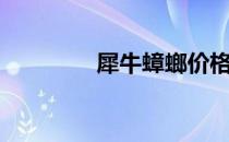 犀牛蟑螂价格（犀牛蟑螂）