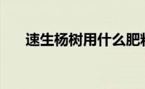 速生杨树用什么肥料长得快（速生杨）