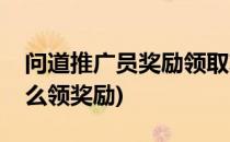 问道推广员奖励领取攻略(问道固定队奖励怎么领奖励)