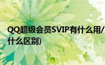 QQ超级会员SVIP有什么用/功能特权(qq超级会员和svip有什么区别)