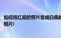 如何将红底的照片变成白底的(如何将红底的照片变成白底的相片)