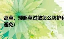 蒿草、矮豚草过敏怎么防护和治疗(矮豚草蒿葎草藜过敏怎么避免)