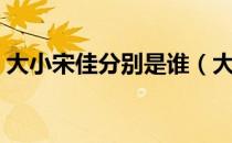大小宋佳分别是谁（大宋佳小宋佳什么关系）