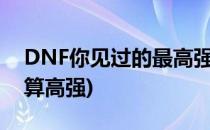 DNF你见过的最高强化有哪些(dnf强化多少算高强)