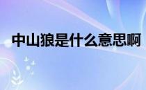 中山狼是什么意思啊（中山狼是什么意思）