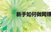 新手如何做网赚(新手怎么赚钱)
