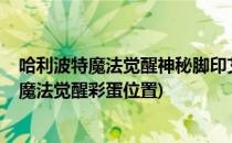 哈利波特魔法觉醒神秘脚印艾薇彩蛋任务怎么做?(哈利波特魔法觉醒彩蛋位置)