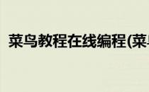 菜鸟教程在线编程(菜鸟教程在线编程html)