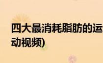 四大最消耗脂肪的运动(四大最消耗脂肪的运动视频)
