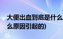 大便出血到底是什么原因(大便出血到底是什么原因引起的)