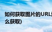 如何获取图片的URL地址(手机图片url地址怎么获取)