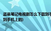 盗墓笔记电视剧怎么下载到手机上(盗墓笔记电视剧怎么下载到手机上的)