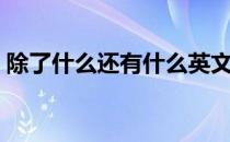 除了什么还有什么英文（除了什么还有什么）
