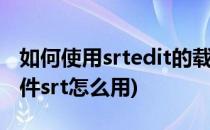 如何使用srtedit的载入字幕文本功能(字幕文件srt怎么用)