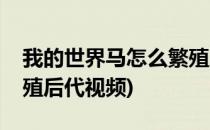 我的世界马怎么繁殖后代(我的世界马怎么繁殖后代视频)