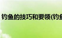 钓鱼的技巧和要领(钓鱼的技巧和要领有哪些)