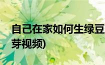 自己在家如何生绿豆芽(自己在家如何生绿豆芽视频)