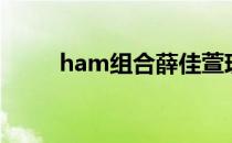 ham组合薛佳萱现状（ham组合）