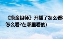 《摸金祖师》开播了怎么看在哪里看(《摸金祖师》开播了,怎么看?在哪里看的)