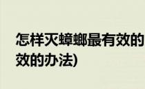 怎样灭蟑螂最有效的方法(怎么消灭蟑螂最有效的办法)