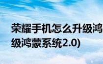 荣耀手机怎么升级鸿蒙系统(荣耀手机怎么升级鸿蒙系统2.0)
