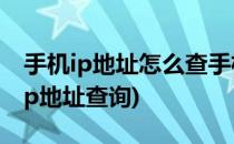 手机ip地址怎么查手机ip地址查询方法(手机ip地址查询)