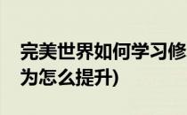完美世界如何学习修真技能(完美世界技能修为怎么提升)