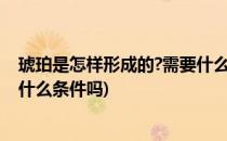 琥珀是怎样形成的?需要什么条件?(琥珀是怎样形成的?需要什么条件吗)