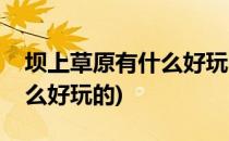 坝上草原有什么好玩的(张家口坝上草原有什么好玩的)
