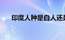 印度人种是白人还是黄人（印度人种）