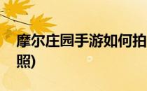 摩尔庄园手游如何拍照(摩尔庄园手游怎样拍照)