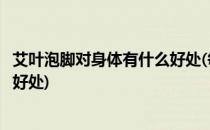艾叶泡脚对身体有什么好处(每天晚上艾叶泡脚对身体有什么好处)