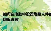 如何在电脑中设置隐藏文件的扩展名(电脑文件扩展名隐藏从哪里设置)