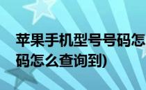 苹果手机型号号码怎么查询(苹果手机型号号码怎么查询到)
