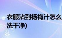 衣服沾到杨梅汁怎么洗(衣服沾到杨梅汁怎么洗干净)